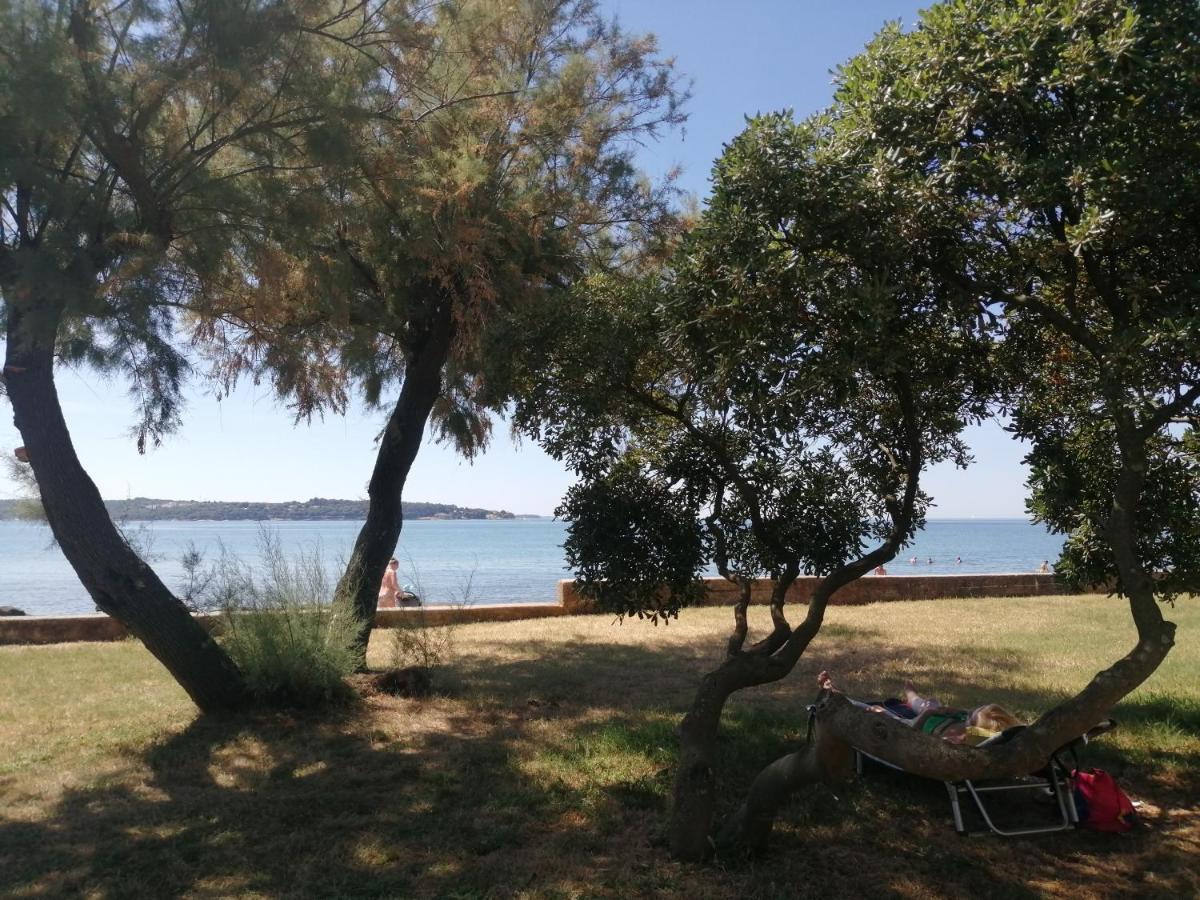 Apartment Vera, 80 M From The Sea Novigrad Istria Exteriér fotografie
