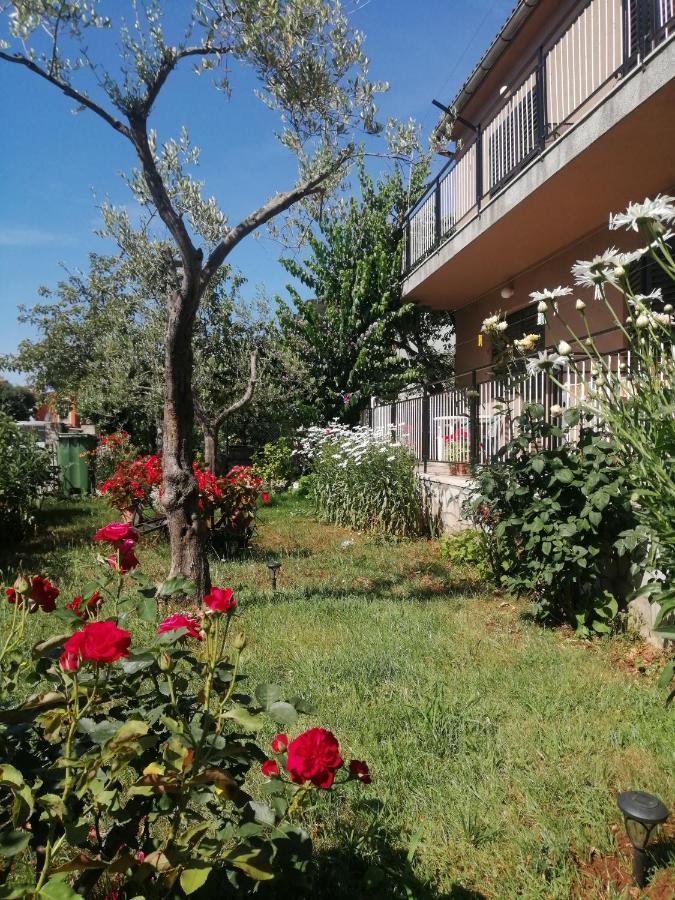 Apartment Vera, 80 M From The Sea Novigrad Istria Exteriér fotografie
